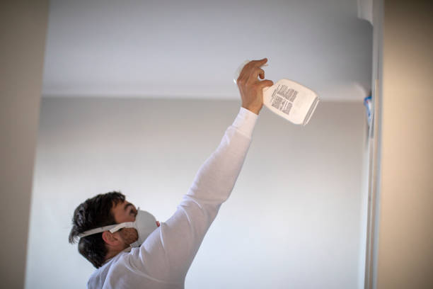 Best Mold Remediation for Schools in Frederickson, WA