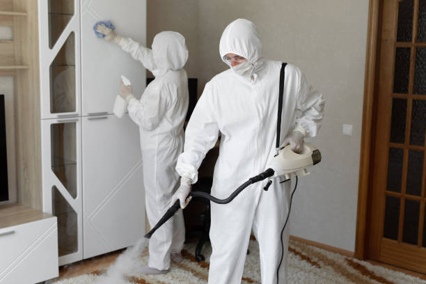 Best HVAC Mold Remediation in Frederickson, WA